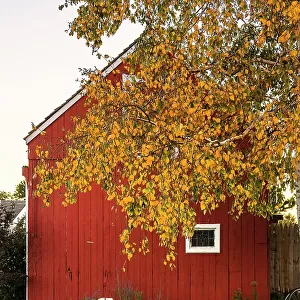 New York, Long Island, close up of red barn door
