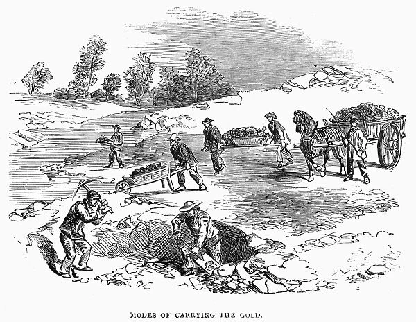 AUSTRALIAN GOLD RUSH, 1852. Prospectors digging for gold in the Port Phillip district