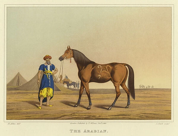 Arabian (chromolitho)