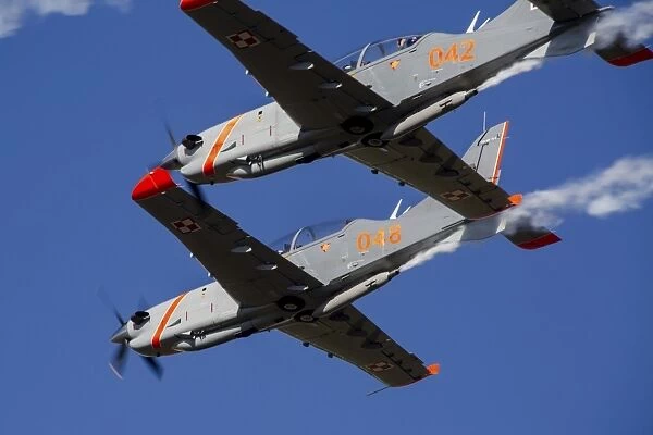 Two PZL-130 Orlik trainers of the Polish Air Force in flight