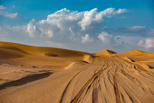 Dubai Desert Safari. Creator: Viet Chu