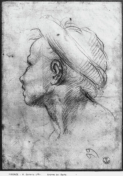 Male face in profile. Drawing by Andrea del Sarto, in the Gabinetto dei Disegni e delle Stampe, at the Uffizi Gallery in Florence
