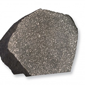The Beddgelert (H5) ordinary chondrite