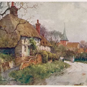 Cottage in South Harting