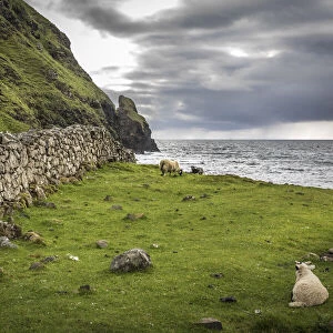 Field stone wall in Talisker Bay, Minginish Peninsula, Isle of Skye, Highlands, Scotland