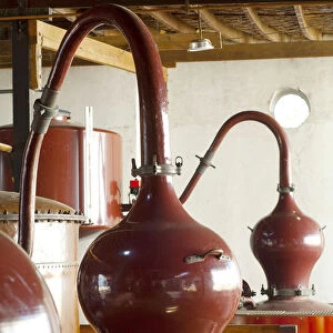 Peru, Bodega Ocucaje, Distilling Pisco, Copper Pots, Winery And Vineyards, Ocucaje Desert