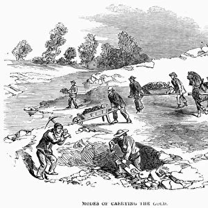 AUSTRALIAN GOLD RUSH, 1852. Prospectors digging for gold in the Port Phillip district