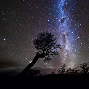 Starry Night Over forest in Patagonia, Argentina