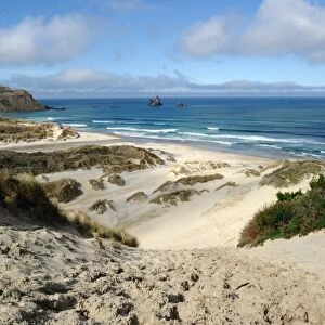 New Zealand-Nature-Beach