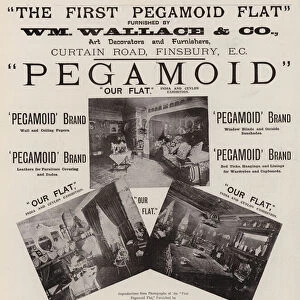 Advertisement, Pegamoid (engraving)