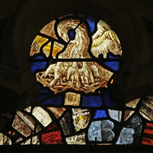 The Pelican in her piety (stained glass)