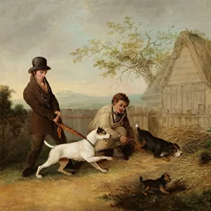 Rat Catching (oil on canvas)