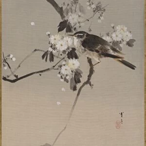 µí£Òü½Õ░Åþª¢Õø│ Birds Flowering Branch Meiji period