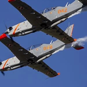 Two PZL-130 Orlik trainers of the Polish Air Force in flight