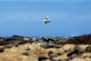 PWA Wave Windsurfing in Gran Canaria 2011