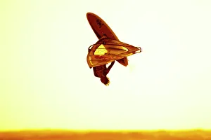 Denmark 2011